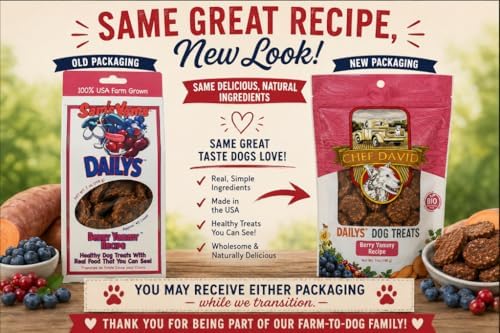 Sams Yams Sweet Potato Dog Treats, Healthy Dog Treats for Large, Medium or Small Breed Dogs, Vegan Sweet Potato Dog Chews Made in USA - Sam's Yams DAILY's Berry Yammy Recipe Dog Snacks, 7oz