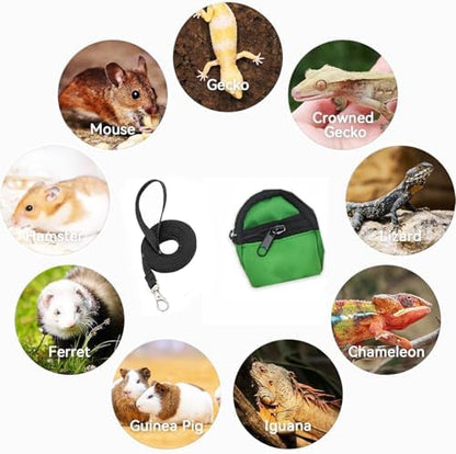 Crested Geckos Backpack Carrier,Reptile Portable Backpack Carrier with Small Backpack Harness Leash Set,Space Capsule Clear Bubble Window Travel Backpack for Lizard Travel,Guinea Pig,Bearded Dragon