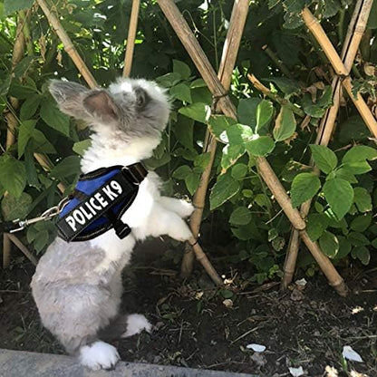 Rabbit Harness with Leash for Bunny Rabbits Cats Small Animals (Blue)