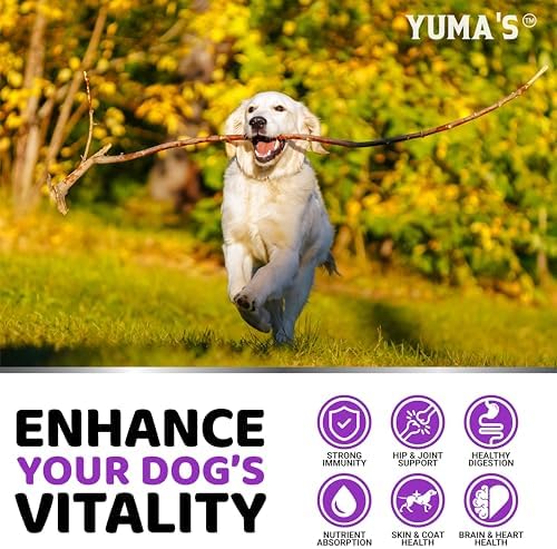 Dog Vitamins and Supplements, 240 Treats, Dog Multivitamin with Glucosamine