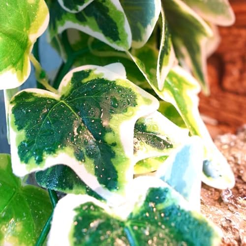 Reptile Terrarium Hanging Plant, 12'' Hiding and Climbing Fake Plants Vine for Reptile Enclosure, Ideal for Chameleon Bearded Dragon Lizard Gecko Tank Accessories