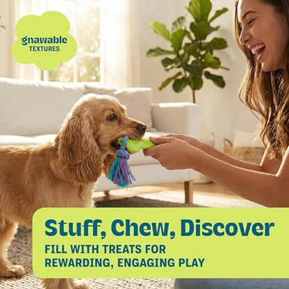 Bone Mini Dog Chew Toy & Treat Stuffer for Teething Puppies & Small Dogs up to 20 lbs, Bounces & Floats, Textured for Dental Support, Moderate Chewers, 5.5" (Pack of 4)
