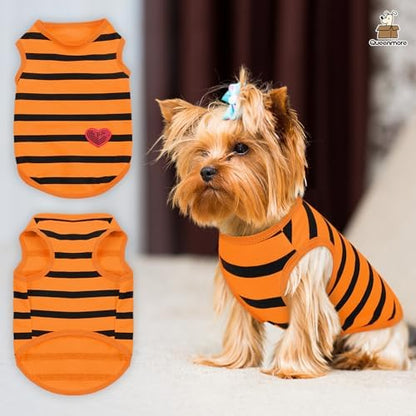Queenmore Small Dog Shirt,Soft Breathable Dog Shirt for Dogs Cats Boy Girl,Pet Clothes for All Season,Breathable Lightweight Pet Tshirt for Frenchie, Dachshund, Yorkie