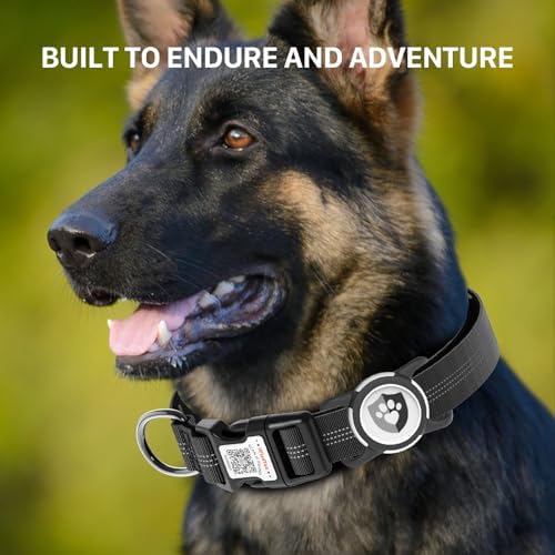 Waterproof AirTag Dog Collar with QR Code Dog Tag, Black M