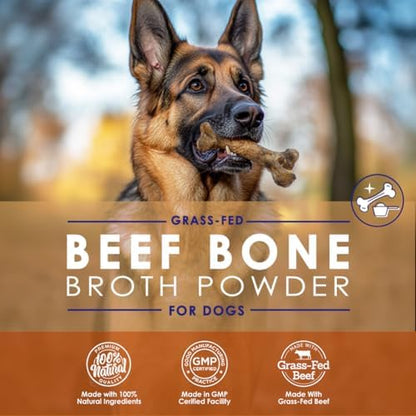 Grass-Fed Beef Bone Broth Powder for Dogs - Rich in Protein & Collagen, Enhanced with Mushroom Blend for Strong Bones, Joint Flexibility, Digestive Comfort & Immune Support - Made in USA - 4.2oz