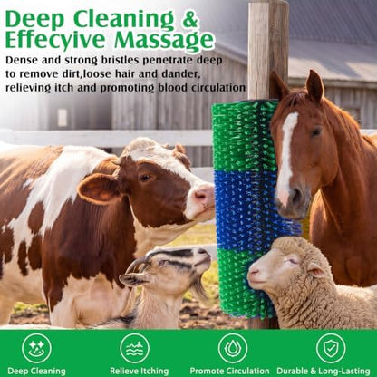3 Pack Livestock Scratching Brush, Blue and Green