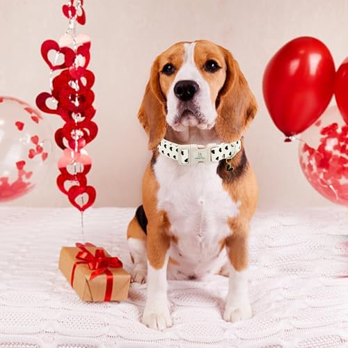 Lionheart glory Valentine's Dog Collar-Hearts Print Dog Collar for Small Cute Dog Collars Spring Female Male Pet Gift Adjustable Heavy-Duty Puppy Collar Holiday