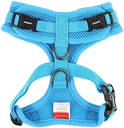 Authentic Puppia RiteFit Harness with Adjustable Neck, Sky Blue, Small