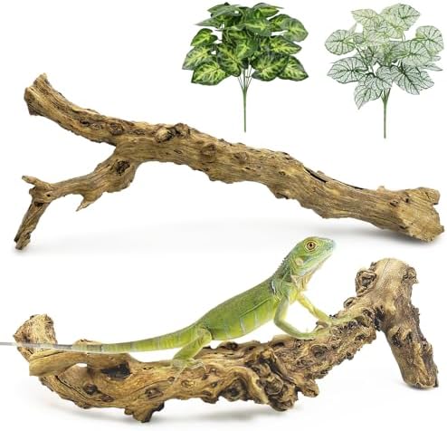 Reptile Branch Decor 2 Pcs Snake Climbing Wood Branches Lizard Habitat Decorations Terrarium Natural Forest Tree Trunk Ornament for Bearded Dragon Geckos Chameleon Frog