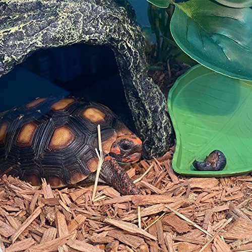 kathson Reptile Rock Hideout Cave,Tortoise Hide Caves,Resin Hides Shelter,Reptile Green Plant Decoration Habitat Decor Terrarium Accessories for Lizards Bearded Dragon Gecko Turtles Spiders