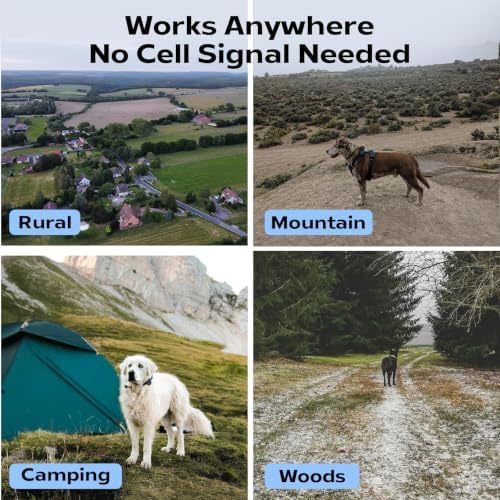 GPS Dog Tracker for 2 Dogs - Off-Grid Long Range Tracking System, No App/Cellular Required, Water-Resistant Pet Finder for Hiking & Forest Exploration (Yellow)