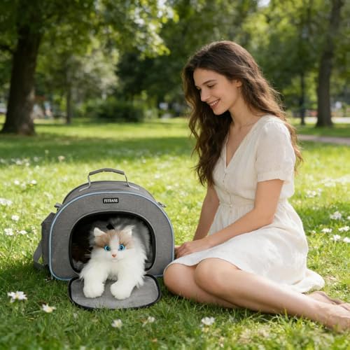 Cat Carrier Soft-Sided, 15.7X10.2X11.8 Inches, up to 11lbs