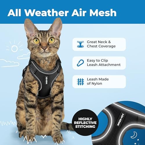 Voyager Escape-Proof Step-in Lock Cat Harness & 5ft Neoprene-Handle Leash Set All-Weather Mesh with Reflective Stitching for Small to Large Cats by Best Pet Supplies, Black (327), XXS