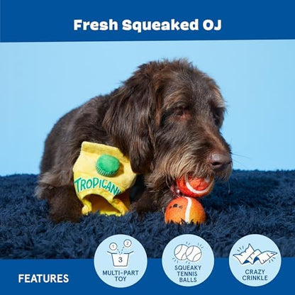 BarkBox Fresh Squeaked OJ Dog Toy - 2-in-1 - Toy for Medium Dogs