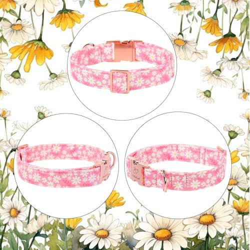 Dainty Daisy Dog Collar, Spring/Summer Pink Floral Girl Dog Collars, Adjustable Heavy Duty Cottagecore Female Dogs Collar for Small Medium Large Dogs with Metal Buckle M