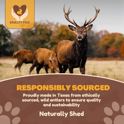 WhiteTail Naturals 2 Pack Monster XXL Deer Antlers for Giant Dogs - 7-8"