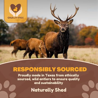 WhiteTail Naturals 2 Pack Monster XXL Deer Antlers for Giant Dogs - 7-8"