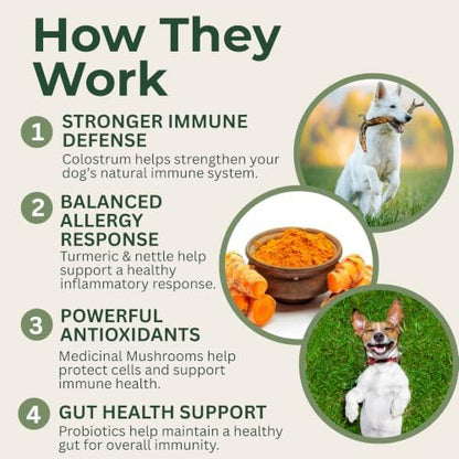 Dog Allergy Chews, Immune Support & Itch Relief for Dogs, 90 Chews