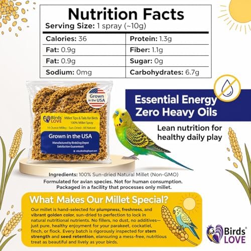 Birds LOVE® 1lb Millet Tips & Tails for Birds – Premium Spray Millet Treat, USA Grown – Natural & Healthy Bird Food for Parakeets, Cockatiels, Budgies, Lovebirds, Finches, Canaries & Parrots – 2 Pack