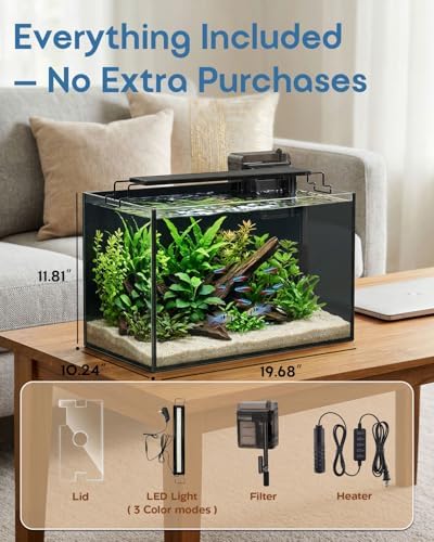 10 Gallon Glass Aquarium Kit, Rimless Fish Tank with LED & Filter, Black