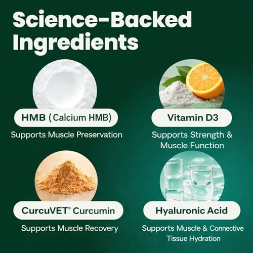 VetriScience HMB Healthy Muscle & Strength Powder for Dogs, 60 Scoops