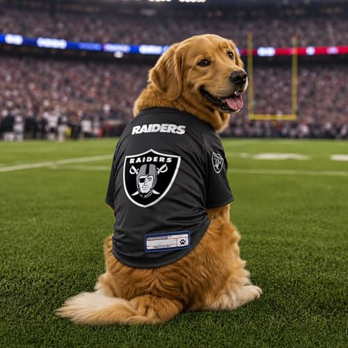 Littlearth NFL Las Vegas Raiders Stretch Pet Jersey, Team Color, X-Small