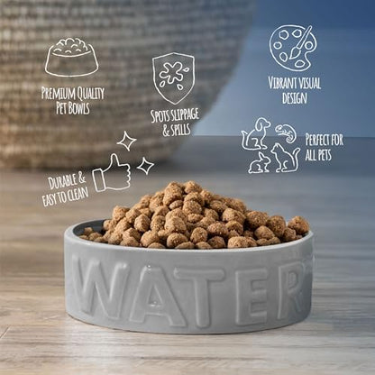 Park Life Designs Pet Bowl | Classic Water (Large, Grey)
