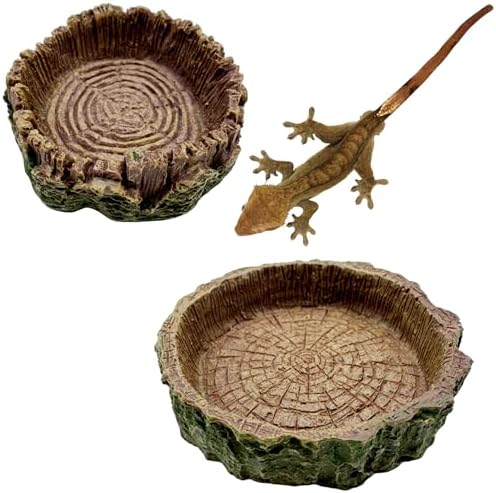 2 Pack Small Reptile Food Bowls, Reptile Feeding Terrarium Bowls for Bearded Dragon Lizard Frog Gecko Tortoise Hermit Crab Snail (Brown B)