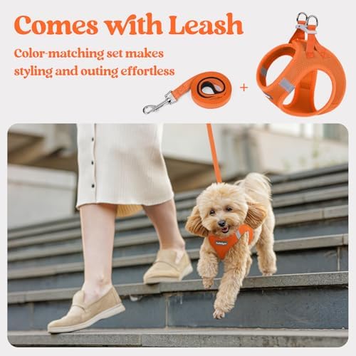 rabbitgoo Dog Harness Small Sized and Leash Set, Step-in Puppy Pet Vest
