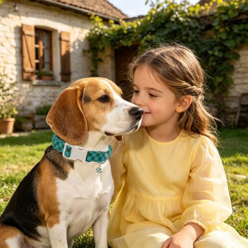 DOGWONG Green Checked Dog Collar, Green Plaid Pretty Cute Girl Dog Collar,Girl Boy Dogs Collars for Small Medium Dogs, Neck 11-16 inches