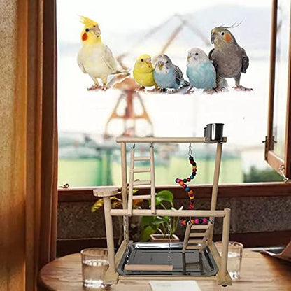 Hamiledyi Small Bird Playground Parakeet Play Gym Wooden Parrot Perch Stand