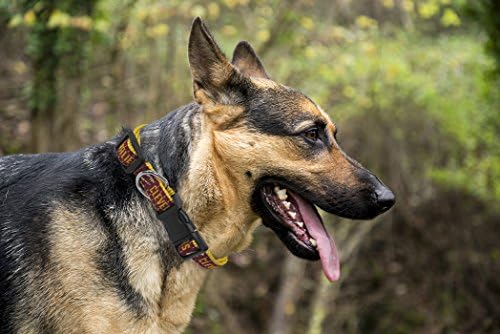 NBA CLEVELAND CAVALIERS Dog Collar, Size Large. Best Pet Collar for all Sports Fans