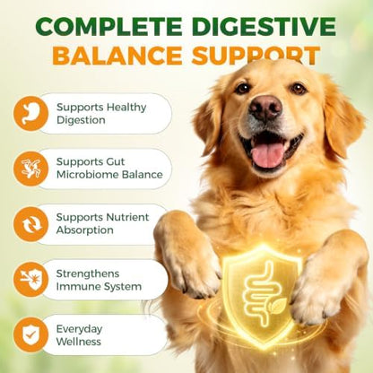Probiotics for Dogs, 6-Strain Gut Health Blend with Digestive Enzymes, Pumpkin & Papaya, Chicken Flavor Chewable Tablets, 200 Count, Supports Digestive Health for All Breeds