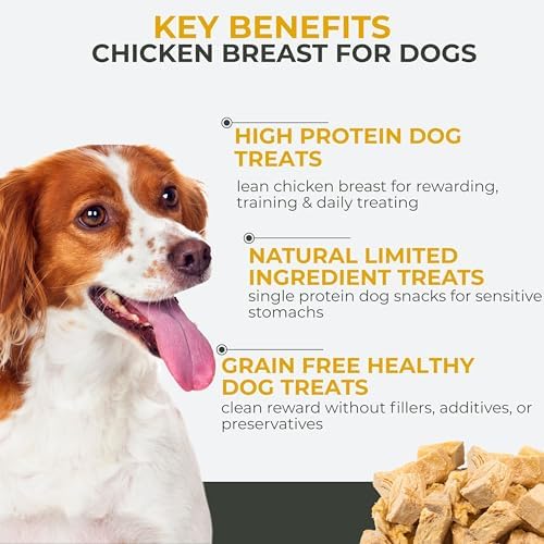 Momentum Carnivore Nutrition Freeze-Dried Chicken Breast Dog Treats & Cat Treats – Single-Ingredient, High-Protein, Grain-Free, Lean & Easily Digestible – Made in USA – 3 oz Bag (Pack of 3)