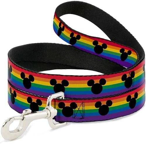 Disney Dog Leash