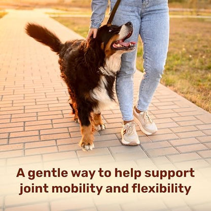 Badlands Ranch Super Mobility Soft Chews for Dogs, Glucosamine, 60 Chews