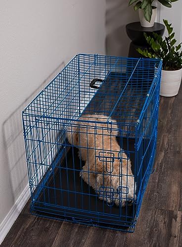 Internet's Best Wire Dog Kennel | Medium (36 Inches) | Double Door Metal Steel Crates | Indoor Outdoor Pet Home | Folding and Collapsible Cage | Blue
