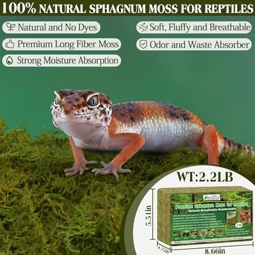 ZeeDix 2.2 lb Sphagnum Moss for Reptiles