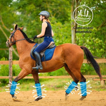 Horse Fly Boots, Breathable Mesh Protection Set of 4, Comfortable Pony Leggings, Breathable Mesh Design, Equines Supplies for Reduce Stomping, Hoof Damage & Leg Fatigue (Blue, Medium)