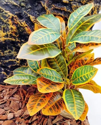 Reptile Plants Terrarium Decor,Reptile Tank Decorations