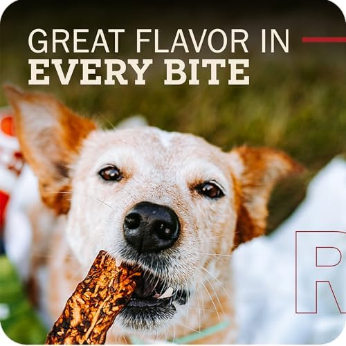 Redbarn Pet Products All-Natural Rawhide Bully Slices - Bully Stick Flavor - Premium Grain-Free Beef Hide Treats High Protein Low Fat for Chewers - 9 oz Bag