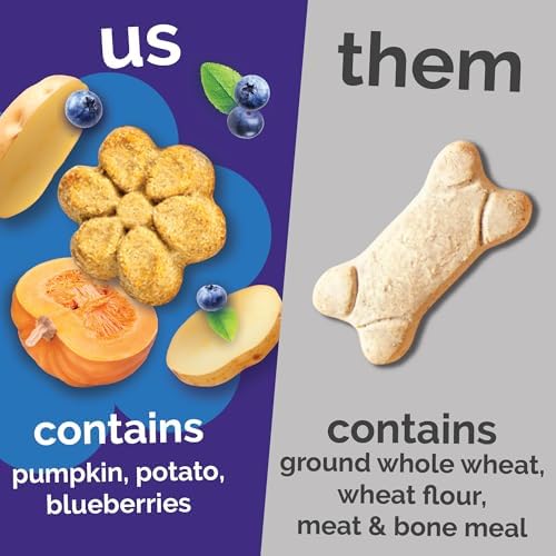 Fruitables Baked Dog Treats, Low Calorie Treats, Pumpkin & Blueberry, 12oz