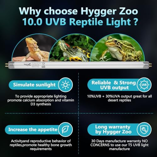 2-Pack UVB Reptile Light 10.0 Bulb 24W T5 Fluorescent Desert Lamp UVA for Bearded Dragon Tortoise Reptile & Amphibian