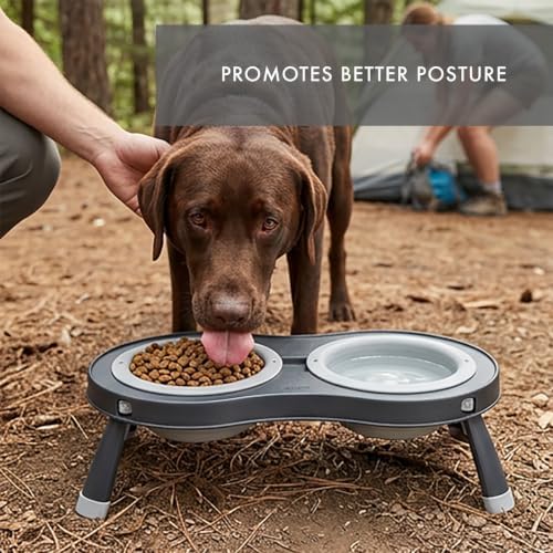Dexas Pets Elevated Double Pet Feeder, Large, 2.5 Cup Capacity Bowls, Light Gray, Raised Pet Food and Water Bowls