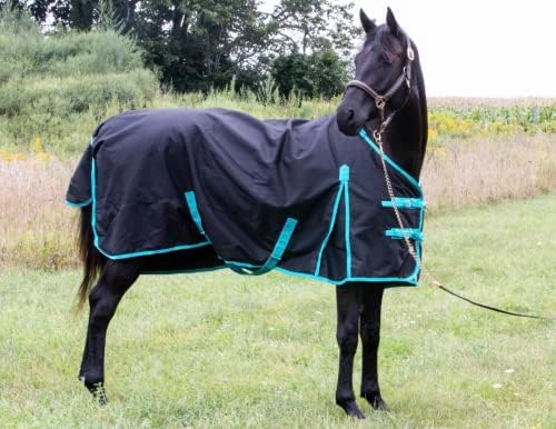 1200 Denier Horse RAIN Sheet (Waterproof/Breathable & Wind Proof Turnout Sheet) Horse Breathable RAINSHEET (Black-Turquoise, 76)
