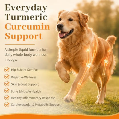 Turmeric Curcumin for Senior Dogs & Cats, Canine Joint & Mobility Support
