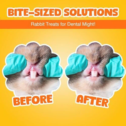 Vila Rabbit Chew Stick, Hanging Treat, Apple Chew Sticks with Round Grass Cakes, Oral Care and Gums, Suitable for Rabbits, Chinchillas, Guinea Pigs and Parrots, 1-Piece