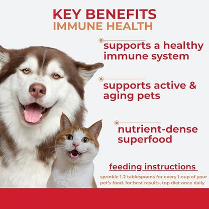 Momentum Carnivore Nutrition Freeze-Dried Antioxidant Boost Pet Food Topper – Single-Ingredient Raw Supplement – Supports Immune Health & Reduces Oxidative Stress – 3 oz Bag