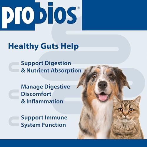 Probios Probiocin Oral Gel for Dogs & Cats, 15 g Tube, 2-Pack