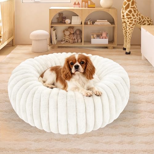 Washable Large Dog Bed,Fluffy Puppy Kitten Beds for Small Dogs(White,XL)
